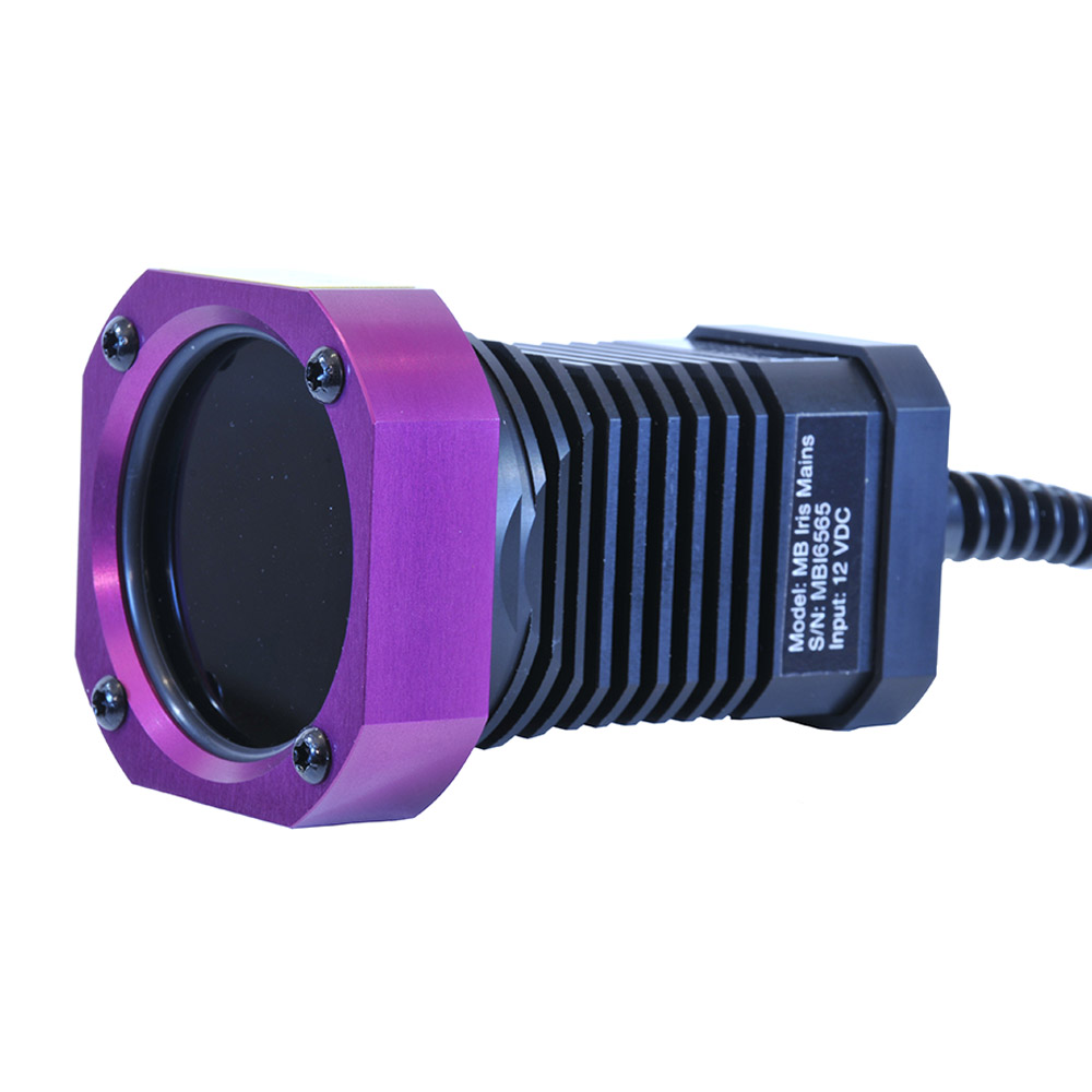 MB_3.0_Iris